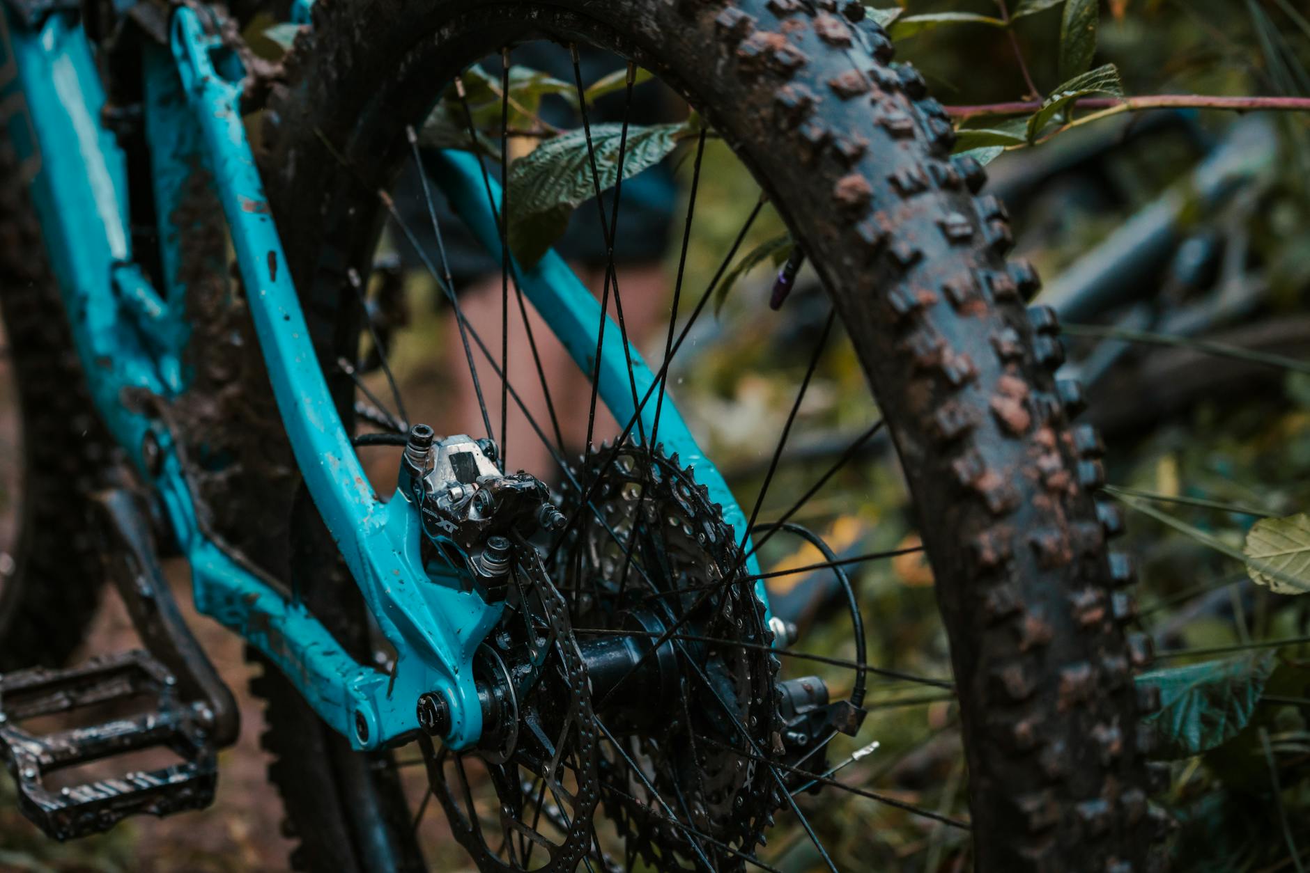 Błotnisty rower górski z widoczną tylną zębatką i mokrą oponą