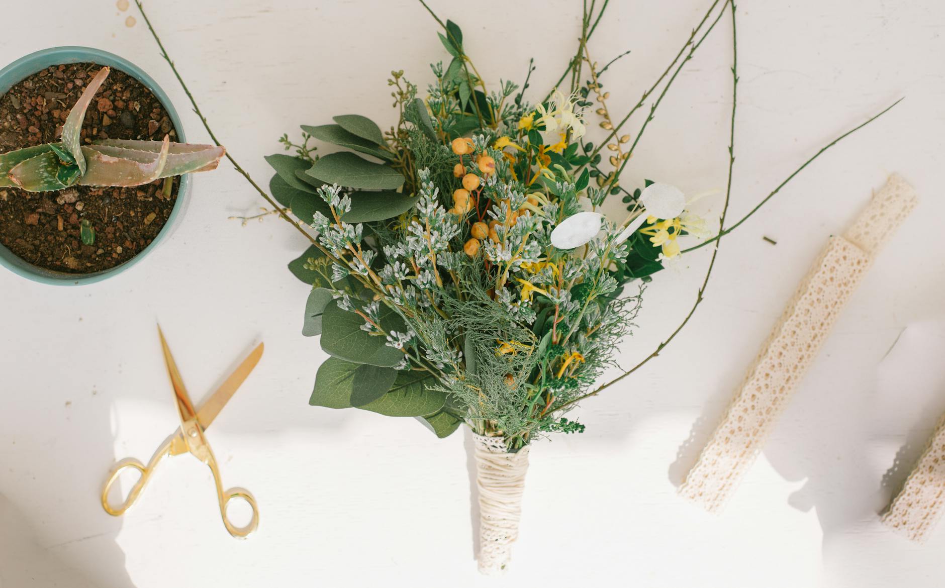 Bukiet z aloesem, nożyczki i koronkowa tasiemka na białym tle