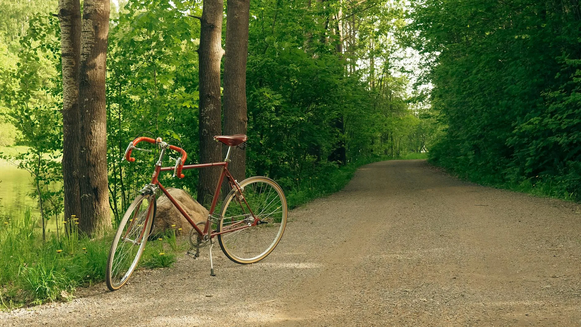 Gravelowy rower na leśnej ścieżce w słoneczny letni dzień