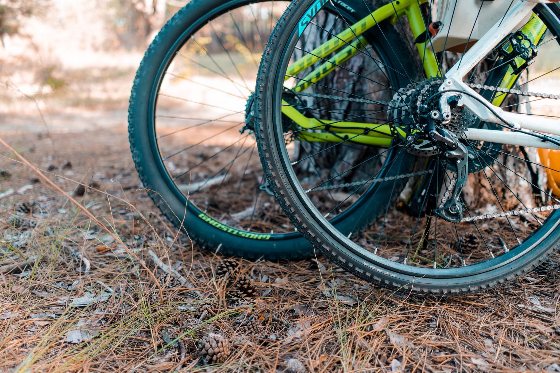 Szerokość opony a komfort: ile naprawdę daje 2.3 vs 2.6 w MTB? Koła roweru górskiego na igliwiu w lesie