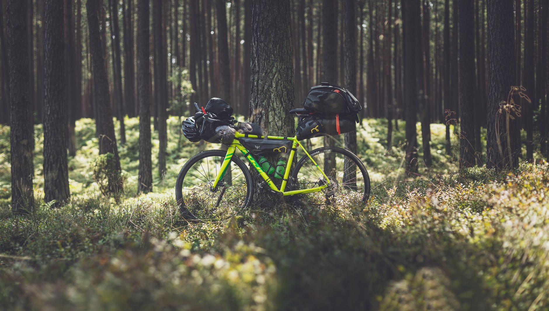 Górski rower oparty o drzewo w polskim lesie podczas wyprawy bikepacking