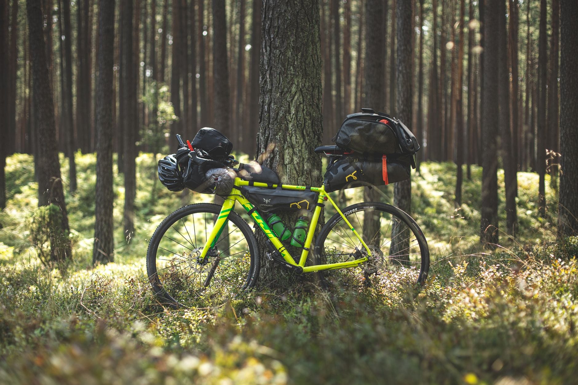 Rower bikepackingowy z biwakowym bagażem w spokojnym polskim lesie